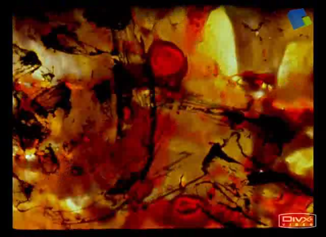 Love.Song(爱之歌)[Stan.Brakhage][2001]（Stan） 截图 3/5