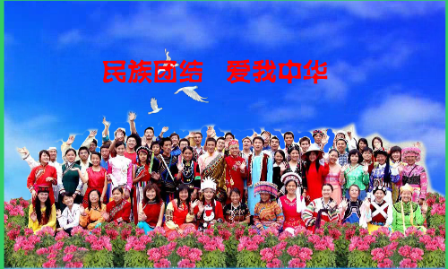 民族团结爱我中华（重阳秋林） 截图 3/8