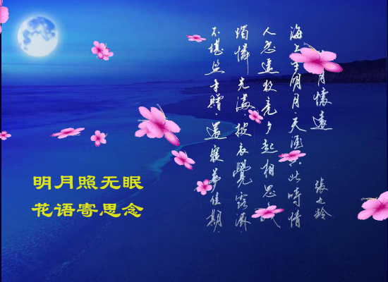 中秋（广泛AS） 截图 7/8