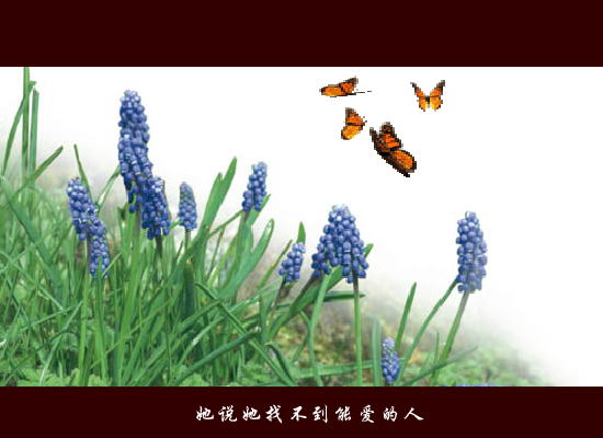 失踪[林忆莲]（豆豆418） 截图 3/8