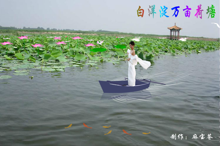 白洋淀万亩荷塘（麻宝苍） 截图 3/8
