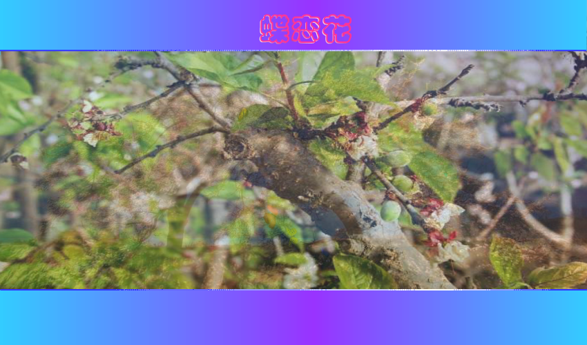 蝶恋花（一缕幽香） 截图 6/8