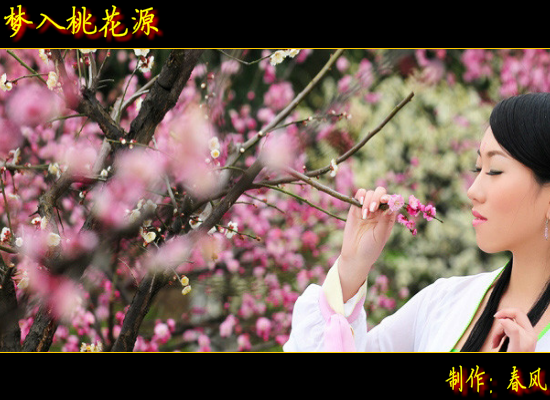 梦入桃花源（指间春色） 截图 3/8