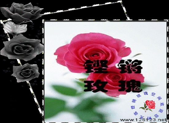 跟着幸福走（铿锵玫瑰） 截图 7/8