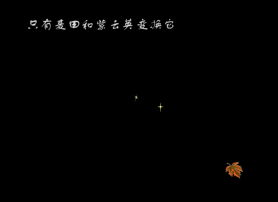 我们这里还有鱼（张依格） 截图 6/8
