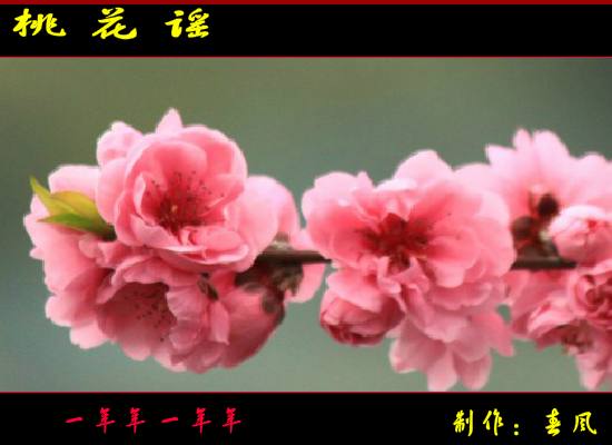 桃花谣（指间春色（春风）） 截图 7/8