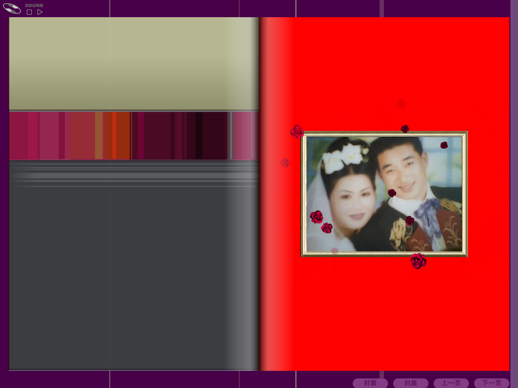勇健翻页相册（stl1148） 截图 6/8