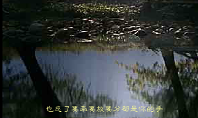 伤心1999（不详） 截图 7/7