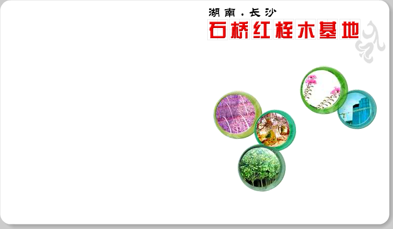 网站片头（快乐小珂） 截图 1/8