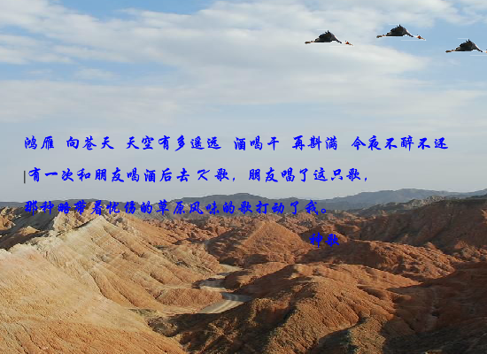 鸿雁（czchina） 截图 8/8