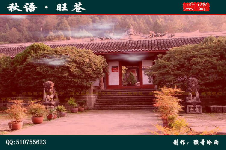 秋语·旺苍（猴哥冷雨） 截图 2/8