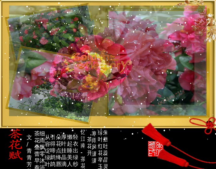 茶花赋（sz_yxf） 截图 4/8
