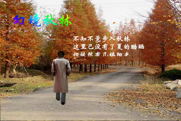 幻境秋林（yriql） 截图 4/7