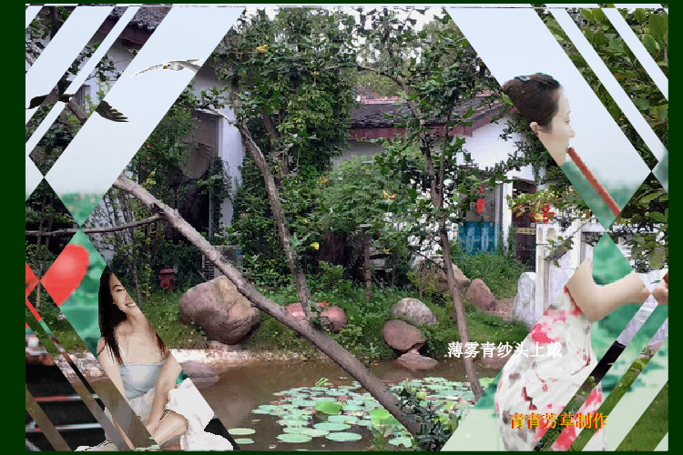 荷花颂（sz_yxf） 截图 3/8