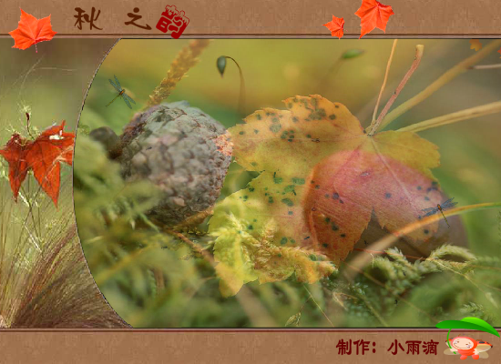 秋之韵（ulan2012） 截图 4/8