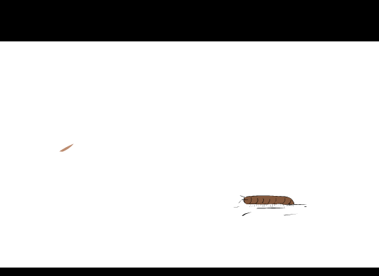 无题（hamměr） 截图 4/8