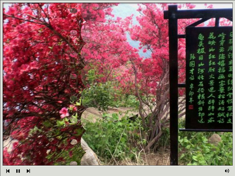 杜鹃花海—麻城观光摄影（浔阳司马） 截图 2/8