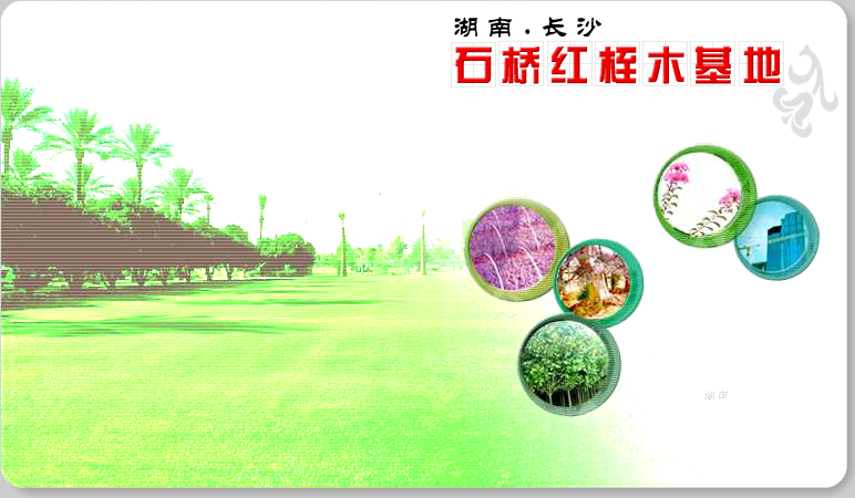 网站片头（快乐小珂） 截图 5/8
