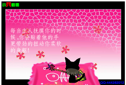 爱猫的人（justformoney） 截图 7/8