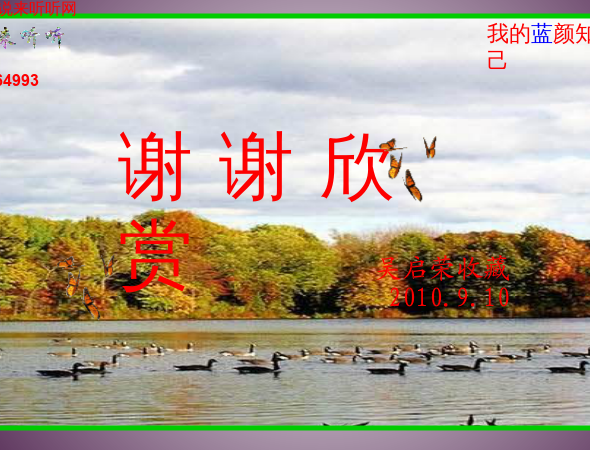 说来听听-蓝颜知己.swf（WQY） 截图 1/8
