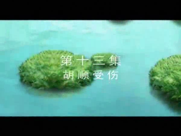 《芦荡金箭》第十三集（ttkt） 截图 2/5