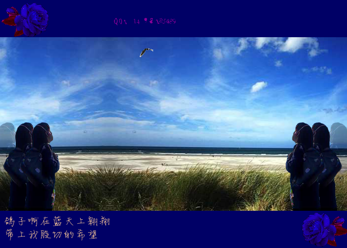 飞吧鸽子（紫罗兰） 截图 2/8