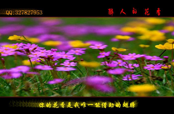 醉人的花香（wxm671022） 截图 7/8
