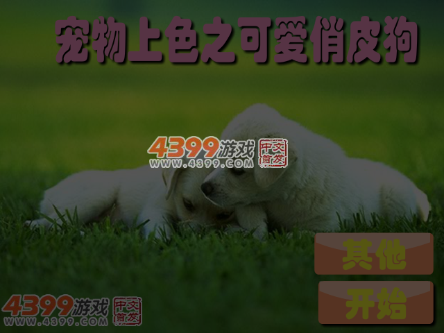 宠物上色之可爱俏皮狗 截图 4/5