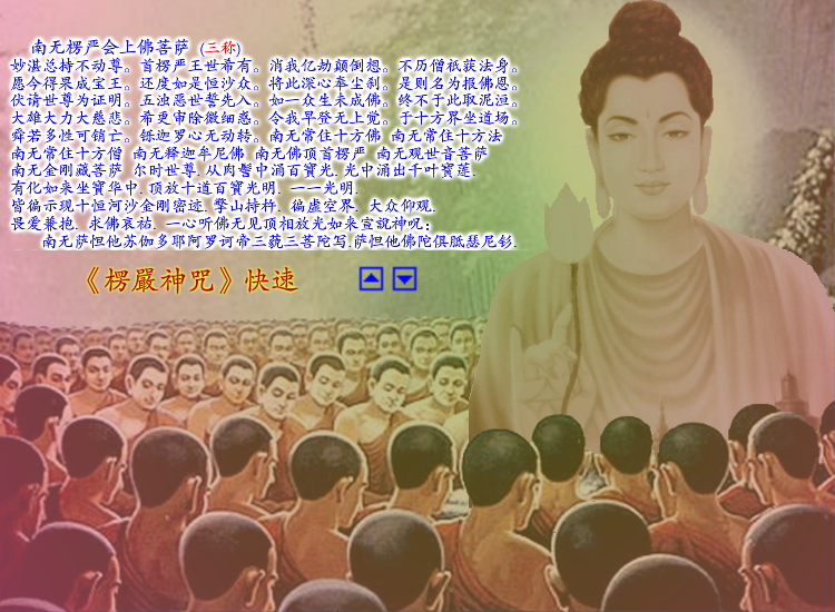 楞严神咒 字幕版（sw） 截图 7/8