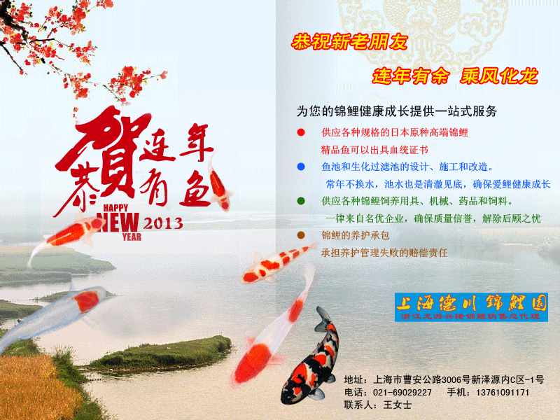 新年贺卡 截图 1