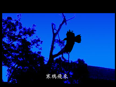 睡莲（坏玉） 截图 6/8