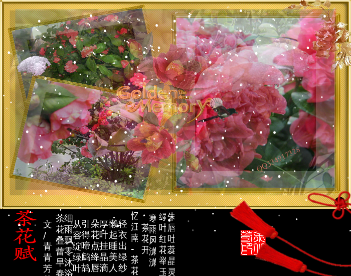 茶花赋（sz_yxf） 截图 5/8