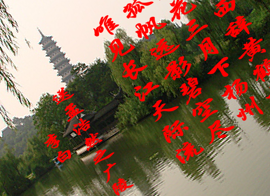 放飞网络（边达） 截图 5/8