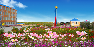 十中花开 截图 1