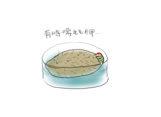 家园（未知） 截图 3/6