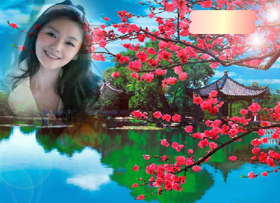 梅花三弄 截图 1