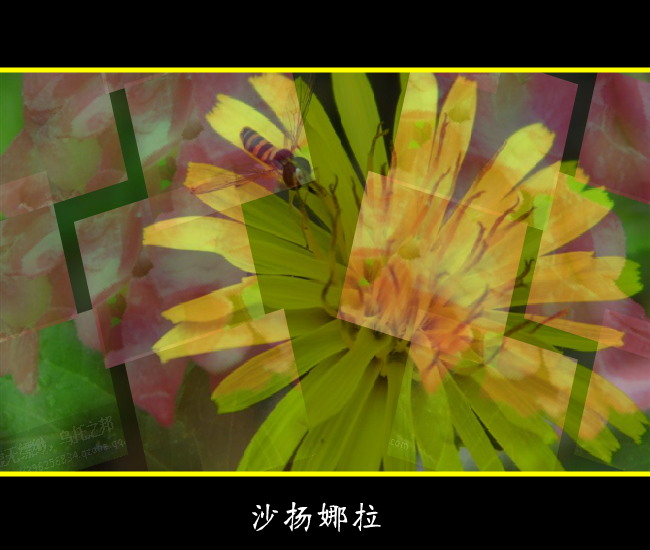 水莲花图（枫叶zdf0512） 截图 5/8