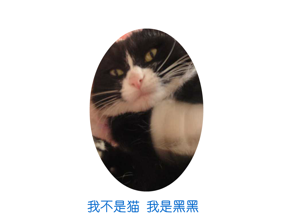 猫（飘渺客） 截图 2/8