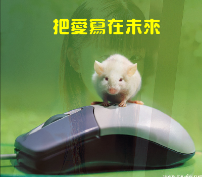 不能没有你[那英]（anjt） 截图 1/8