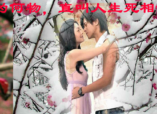 梅花三弄（hustyuyq） 截图 2/8