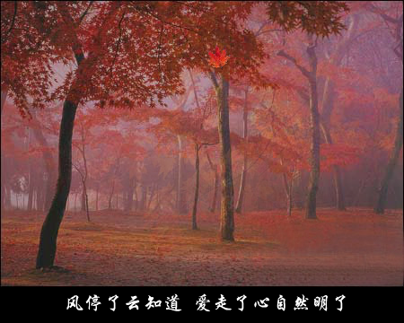 答案随着枫叶飘（mszxf） 截图 5/8