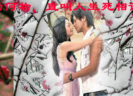 梅花三弄（hustyuyq） 截图 3/8
