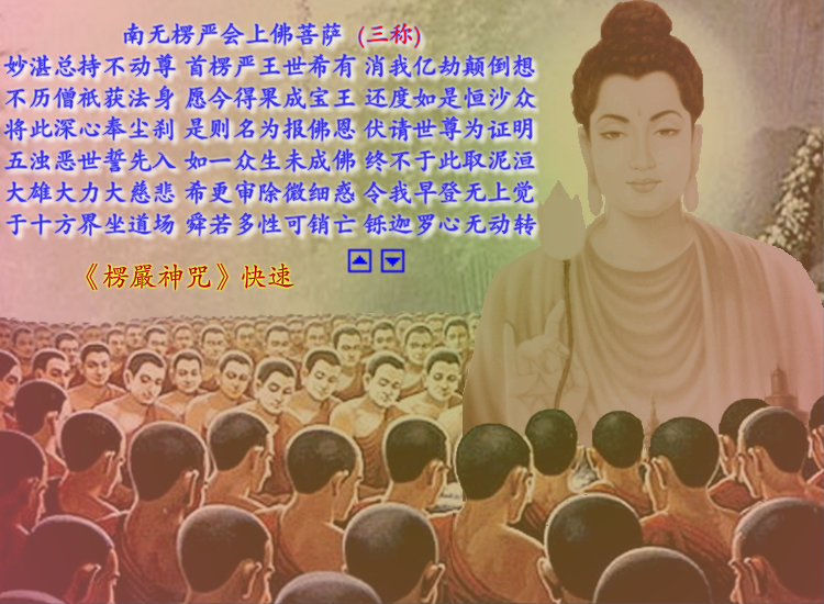 《楞严神咒》清晰字幕版（sw） 截图 1/8