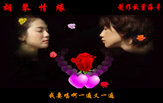 胡琴情缘（秋叶海哥） 截图 8/8