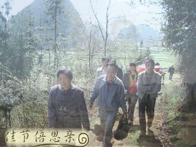 清明（重阳秋林） 截图 4/8