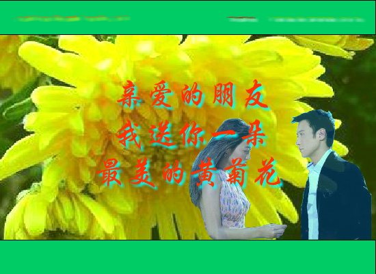黄菊花开了（Blue） 截图 5/8