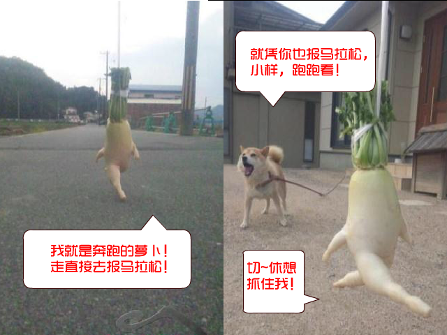 新奔跑的萝卜 截图 3/6