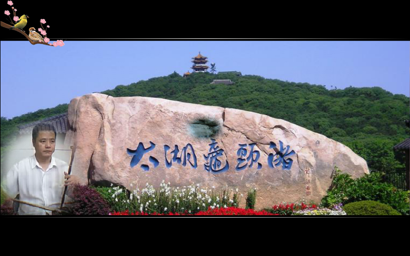 无锡景（杜鹃a） 截图 2/5