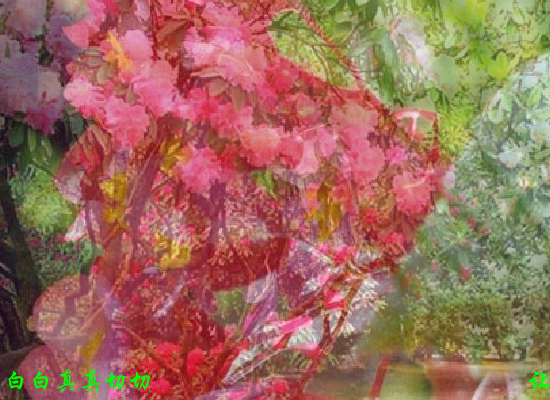 雾里看花（Blue） 截图 5/8