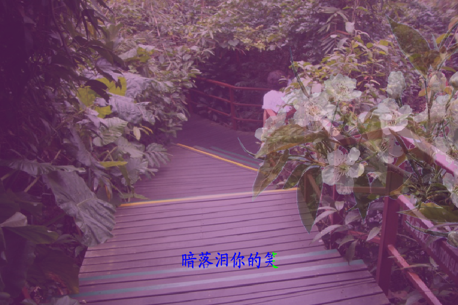 梨花情（钟华锦绣） 截图 4/8